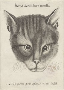 Kissan pää tekijältä Wenceslaus Hollar