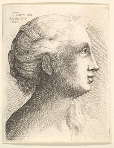 Nuoren naisen pää profiilissa oikealla, 1645. tekijältä Wenceslaus Hollar