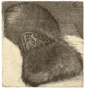 Muhvi Brocade-nauhalla tekijältä Wenceslaus Hollar