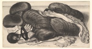  tekijältä Wenceslaus Hollar