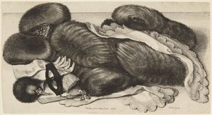 Puuhkat ja koristeet tekijältä Wenceslaus Hollar