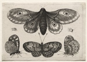  tekijältä Wenceslaus Hollar