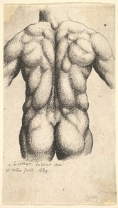 Alaston miehen vartalo takaa katsottuna, 1645. tekijältä Wenceslaus Hollar