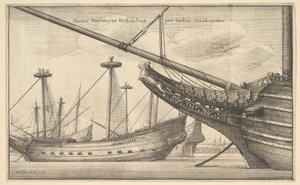 Hollantilainen Länsi-Intialainen, 1647 tekijältä Wenceslaus Hollar