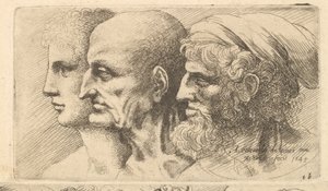 Kolmen pään rivi profiilissa vasemmalle, 1645. tekijältä Wenceslaus Hollar