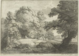 Silta vesiputouksen yli tekijältä Wenceslaus Hollar