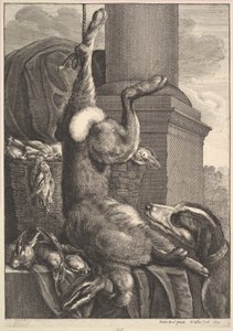 Kuollut jänis, 1649. tekijältä Wenceslaus Hollar