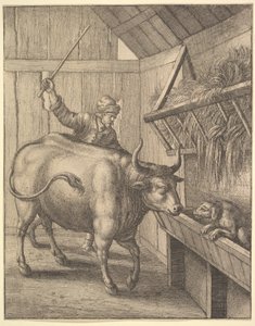 Koira seimessä kuvista John Ogilbys Æsopics: Or A Second Collection..., 1666. tekijältä Wenceslaus Hollar