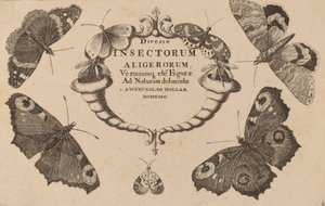 Nimilehti. tekijältä Wenceslaus Hollar