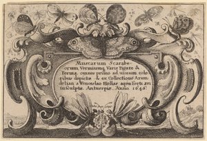Nimilehti tekijältä Wenceslaus Hollar