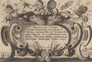 Nimilehti, 1646. tekijältä Wenceslaus Hollar