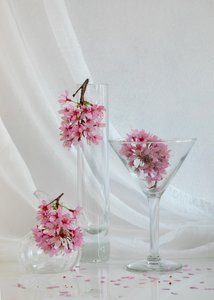  tekijältä Wendy Xu
