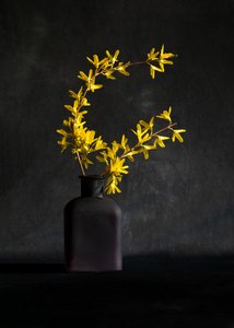  tekijältä Wendy Xu