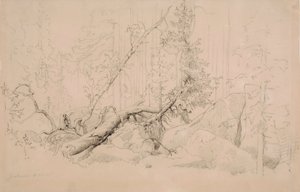 Nimetön tekijältä Werner Holmberg
