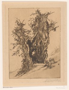 Ontto puu Seelisbergissä Sveitsissä Hollow Tree (alkuperäinen nimi)