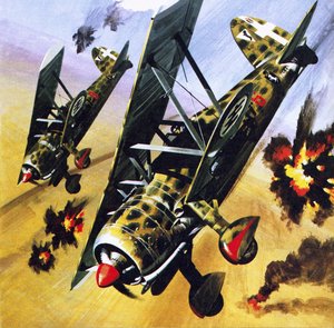 Kaksi Fiat CR 42 tekijältä Wilf (20th century) Hardy