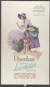 Elsenham Lavender, 1920-luku tekijältä Wilfred Fryer