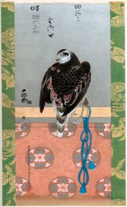 Falcon, c1790 1886