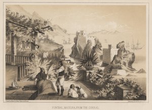 Funchal, Madeira, Corralista, 1885 tekijältä Wilhelm Joseph Heine