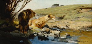 Leijona ja leijona virrassa, tekijältä Wilhelm Kuhnert