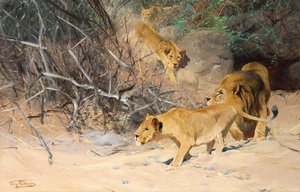 Pride of the Prowl lionit