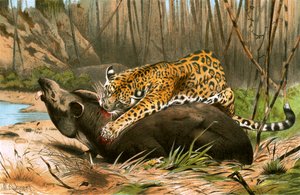 Jaguaari tappaa tapiirin tekijältä Wilhelm Kuhnert