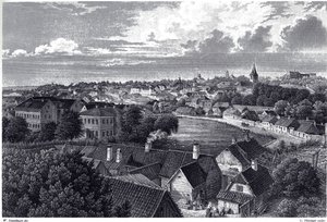 Näkymä Dorpatista, c. 1850 tekijältä Wilhelm Siegfried Stavenhagen