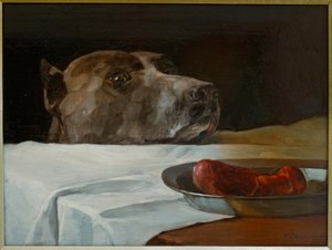 Koira Wurstschüsselillä