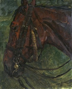 hevosen pää tekijältä Wilhelm Trübner