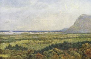 Constantia Valley ja False Bay sekä Cape Point (värilitro).