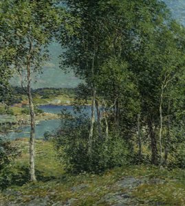 Koivuperhe, 1907.