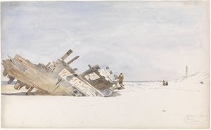 Hylypuuta Renessen rannalla Schouwen-Duivelandissa