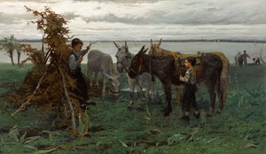 Pojat paimentavat aaseja