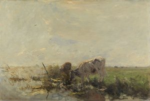 Lehmät lätäkössä