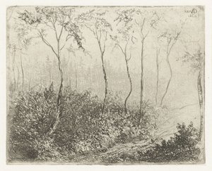 metsäinen maisema tekijältä Willem Matthias Jan van Dielen