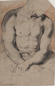 orjantappuroilla kruunattu Kristus. Kristuksen vartalo. Van Dyckin jälkeen tekijältä Willem Panneels