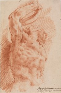 Laocoon. Laokoonin vartalo näkyy alhaalta oikealta. tekijältä Willem Panneels