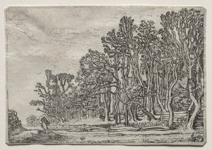 Maisemasarja: Kaksi lankkkuaitaa, 1616.