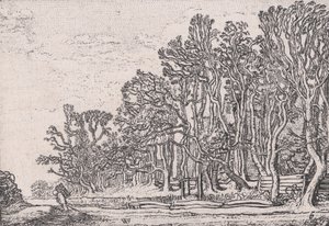 Kaksi lankkupensasaitaa, Verscheyden Landtschapjes Various Little Landscapes, levy 6,..., ca. 1616.