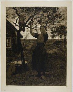Omenapuu tekijältä Willem Arnoldus Witsen