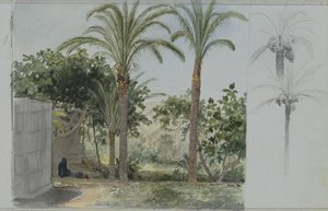 Keidas palmuilla