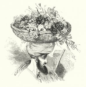 "Maan Abd-Allah kantamassa hedelmäkoria (kaiverrus) tekijältä William (after) Harvey