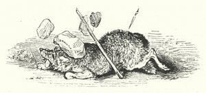 Suden kuolema (kaiverrus)