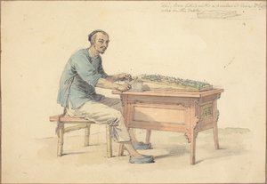  tekijältä William Alexander