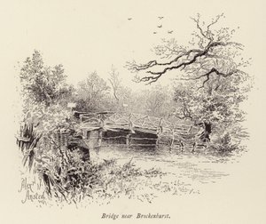 Silta lähellä Brockenhurstia (kaiverrus) tekijältä William Alexander Ansted
