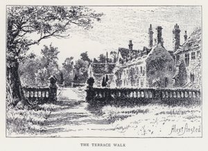 The Terrace Walk (kaiverrus) tekijältä William Alexander Ansted