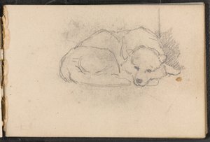 Luonnos nukkuvasta koirasta, noin 1879 tekijältä William Barnes Wollen