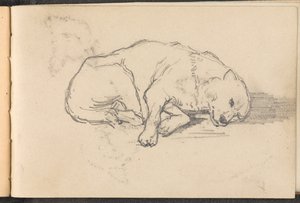 Luonnos nukkuvasta koirasta, noin 1879 tekijältä William Barnes Wollen