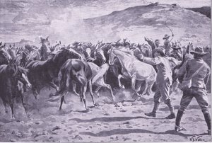 Hevosten vangitseminen Brandwaterin alueella lähellä Fouriesburgia: joukon kokoaminen, kuva Pretorian jälkeen: Sissisota, 1902 tekijältä William Barnes Wollen
