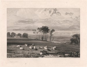 Crowhurst, Sussex tekijältä William Bernard Cooke